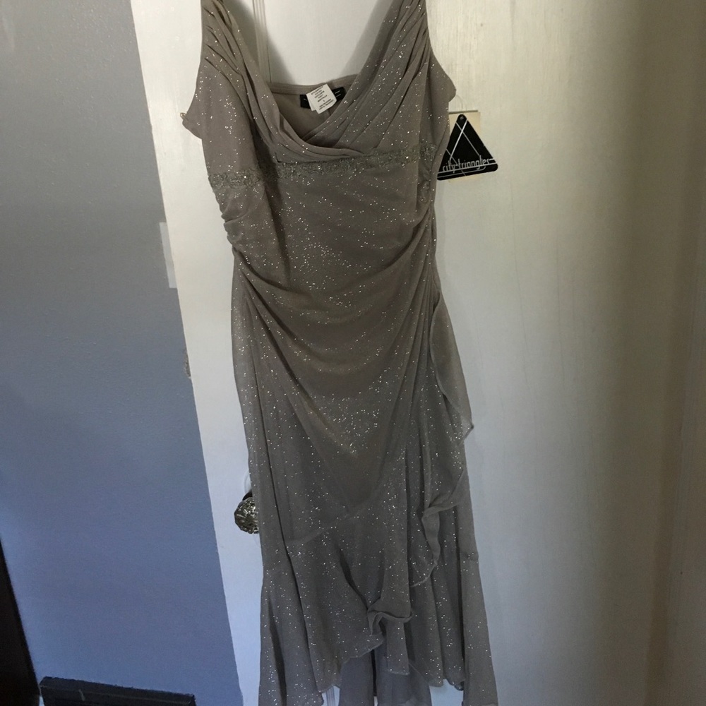Silver, glittery dress, NWT